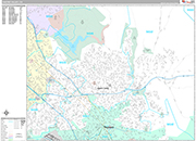 Castro Valley Wall Map Premium Style